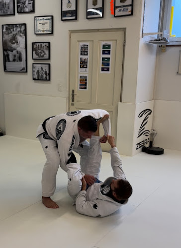 Kommentare und Rezensionen über Para Bellum Brazilian Jiu Jitsu Academy / GFTeam Zurich