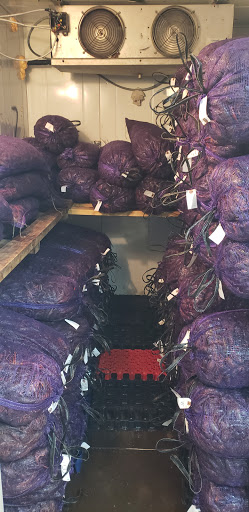 Seafood Market «Satsuma Seafood», reviews and photos, 29923 S Satsuma Rd, Livingston, LA 70754, USA