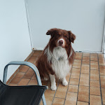 Photo n°1 de l'avis de Helmut.l fait le 15/01/2023 à 14:57 sur le  Hotel Haus Griese à Möhnesee