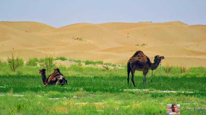 Nath Duh Sand Dunes