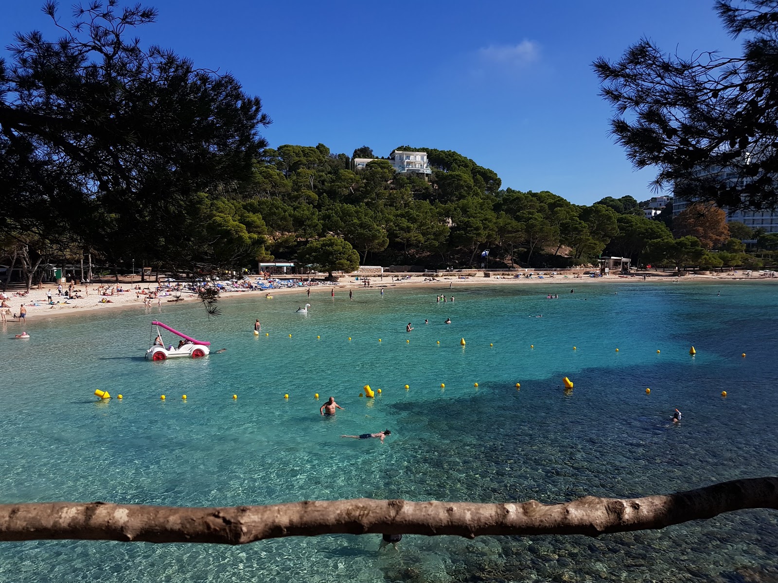 Foto de Cala Galdana con muy limpio nivel de limpieza