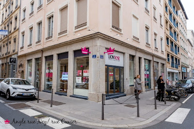 Sophie Tournier Immobilier Villeurbanne-Lyon à Villeurbanne