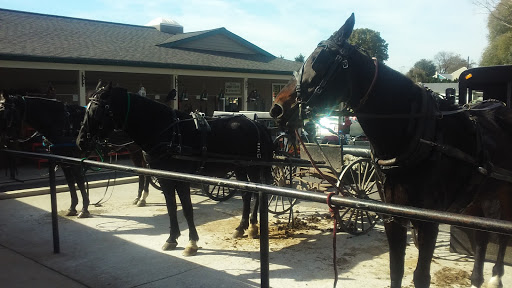 Grocery Store «Hillside Bulk Foods», reviews and photos, 1403 W Kings Hwy, Gap, PA 17527, USA