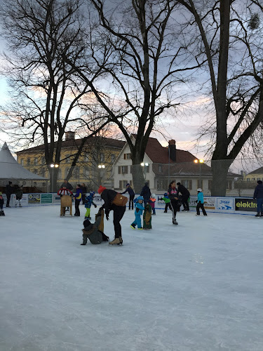 Murten on Ice - Freiburg