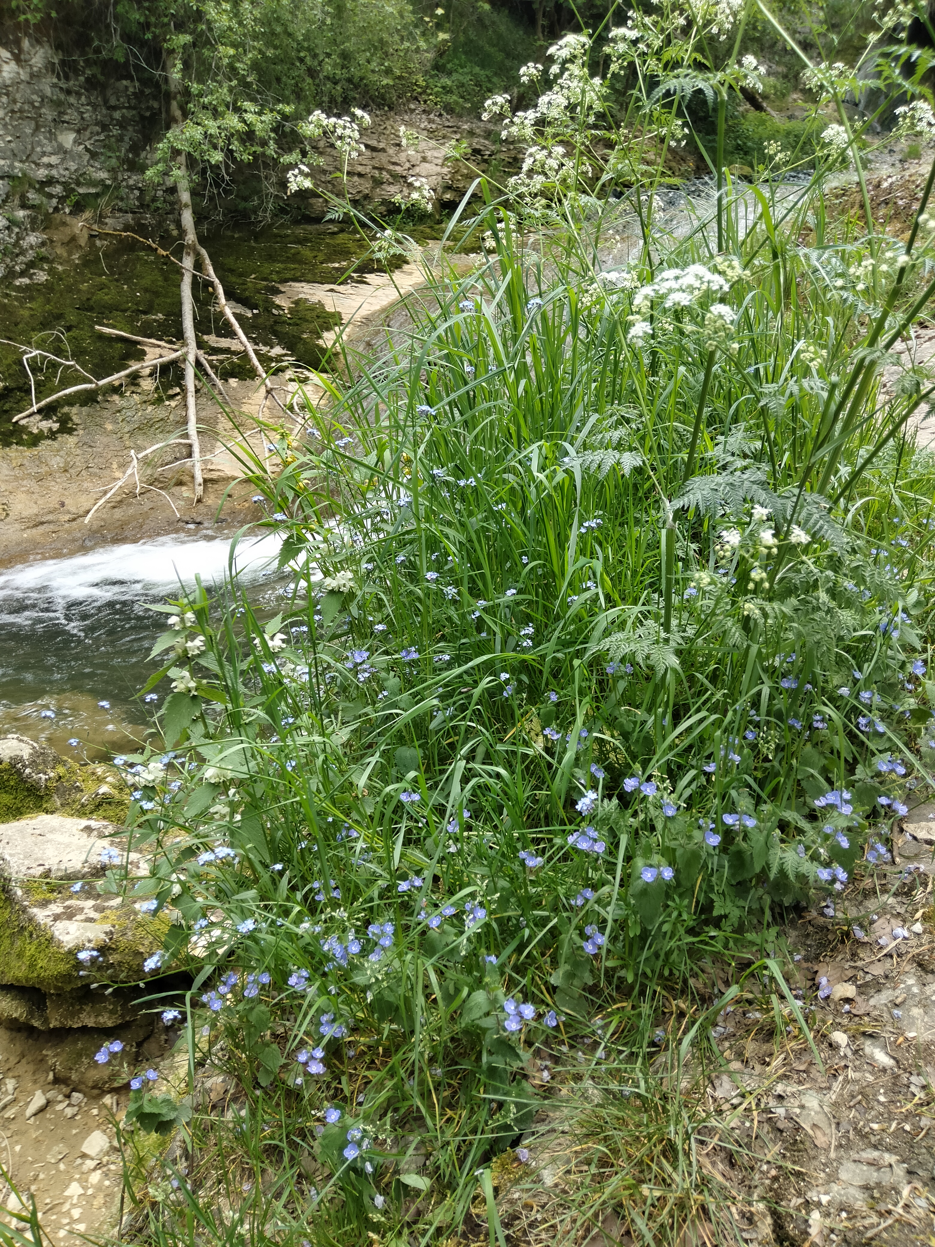 Photo n° 20 de l'avis de Pascal.a fait le 12/05/2022 à 16:58