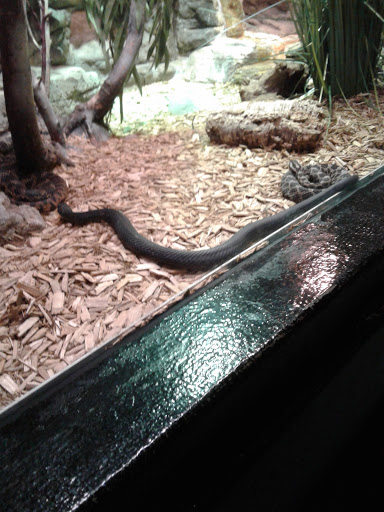 Pet Supply Store «Petco Animal Supplies», reviews and photos, 4950 S 76th St, Greenfield, WI 53220, USA