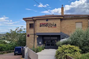 Amelibia image