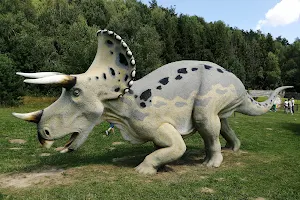 Jurassic Park Krasnobród image