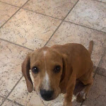 Photo n°3 de l'avis de Lara.i fait le 29/08/2021 à 14:40 sur le  Trattoria Da Gianni à Castiadas