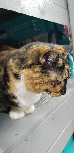 Pet Supply Store «Northside Grange», reviews and photos, 4116 Hamilton Ave, Cincinnati, OH 45223, USA