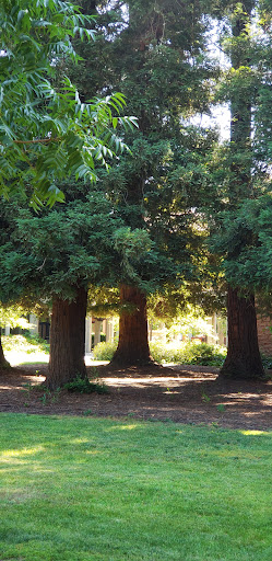 College «Sacramento City College», reviews and photos