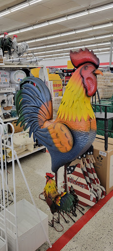 Home Improvement Store «Tractor Supply Co.», reviews and photos, 1701 Massey Blvd #629, Hagerstown, MD 21740, USA