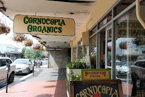 Cornucopia The Organic Shop image