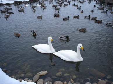 Cloverdale Funeral Home, Cemetery and Cremation