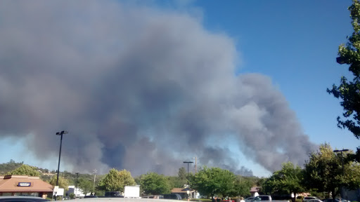 Dollar Store «Dollar Tree», reviews and photos, 14804 Olympic Dr, Clearlake, CA 95422, USA