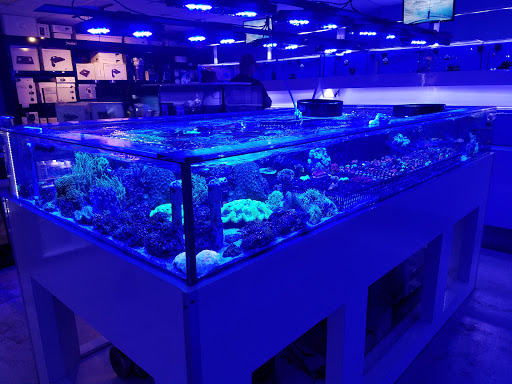 Pet Store «Reefers Direct Aquatics», reviews and photos, 3227 13th St, St Cloud, FL 34769, USA