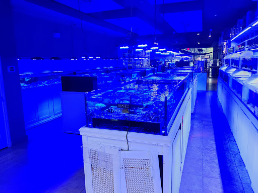 Tropical Fish Store «Living Reef Orlando», reviews and photos, 504 N Alafaya Trail #112, Orlando, FL 32828, USA