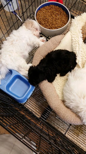 Pet Supply Store «Pet Ranch», reviews and photos, 3823 E 120th Ave, Denver, CO 80233, USA