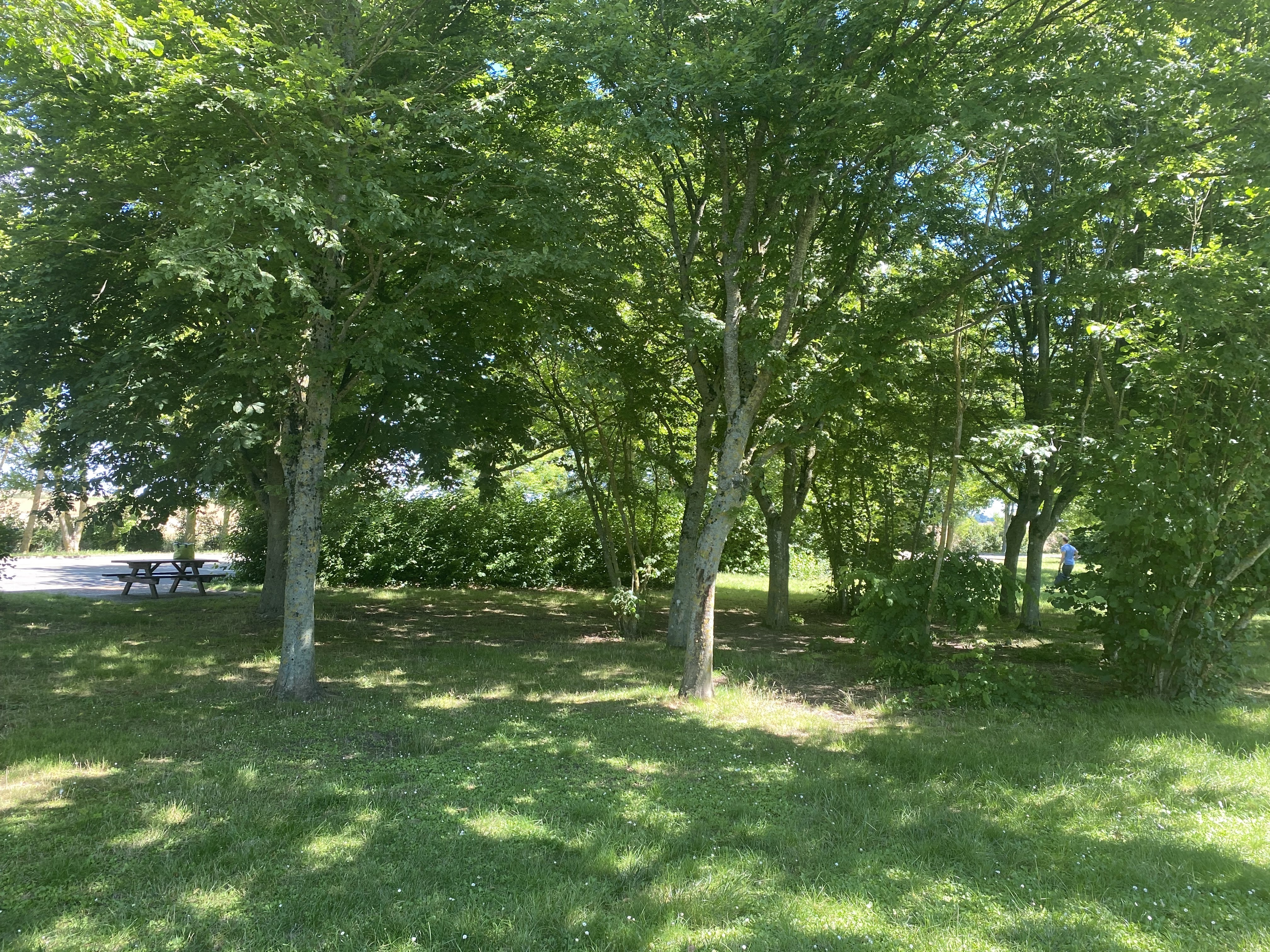 Photo n° 5 de l'avis de Christophe.A fait le 02/07/2022 à 14:45