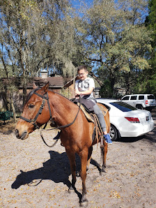 Horsespring Farm 3135 Owl Roost Trail, Lake Wales, FL 33898