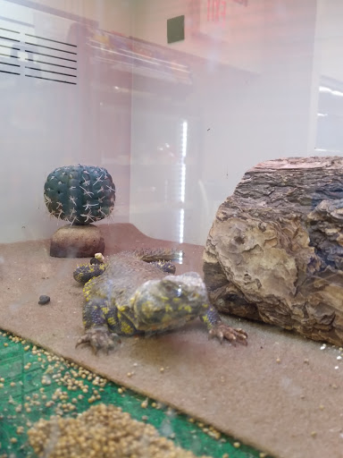 Pet Supply Store «Pet Supplies Plus», reviews and photos, 101 Sutton Ave, Oxford, MA 01540, USA