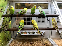 PetSmart - Photo 6 - Car repair in Dublin, CA, Antioch