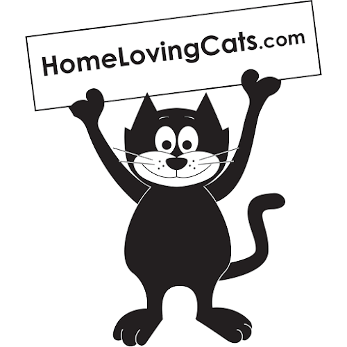 Home Loving Cats - Cardiff