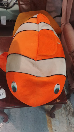 Non-Profit Organization «Youth Alternatives Thrift Shop», reviews and photos, 3103 West Ave, San Antonio, TX 78213, USA