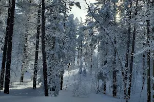 Casper Mountain County Park image