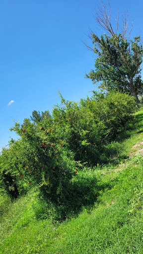 Rancho Tierra Prometida