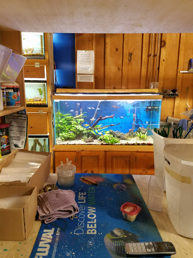 Tropical Fish Store «Pet Friendly Inc», reviews and photos, 845 Manitou Rd, Hilton, NY 14468, USA