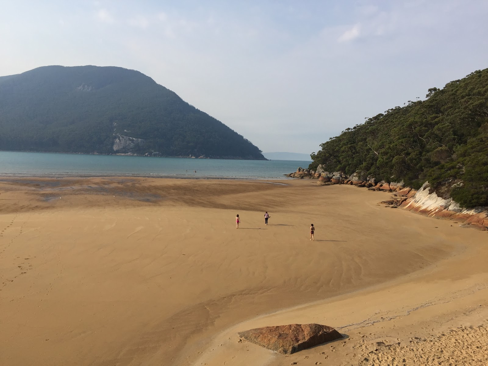 Photo de Sealers Cove Beach - endroit populaire parmi les connaisseurs de la détente