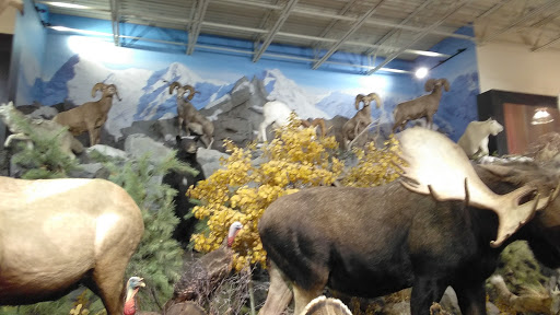 Outdoor Sports Store «Field & Stream», reviews and photos, 10351 Innovation Drive, Miamisburg, OH 45342, USA