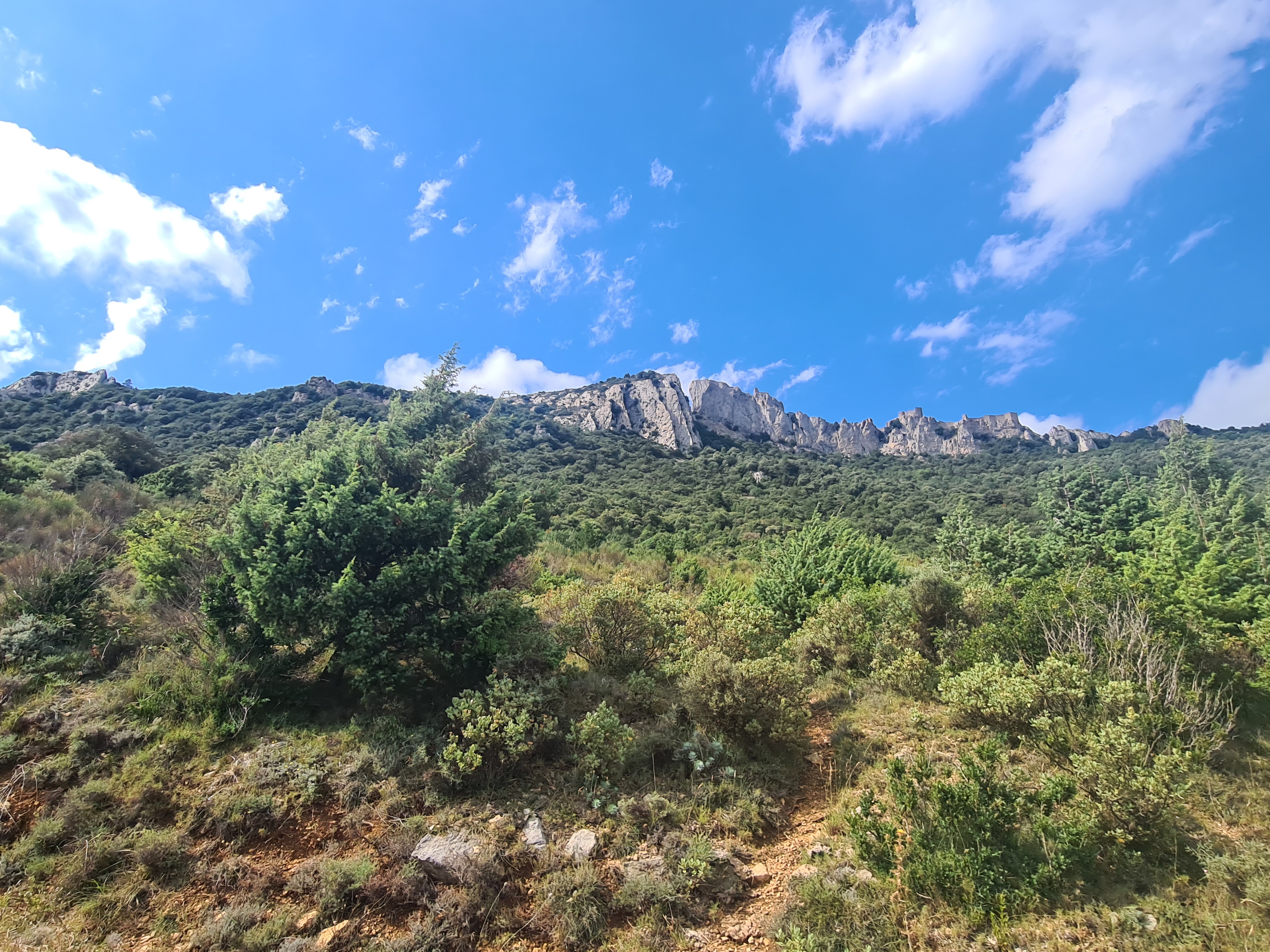 Photo n° 1 de l'avis de Juliette.. fait le 04/08/2023 à 23:40