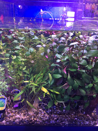 Pet Store «Woofs & Waves», reviews and photos, 5426 Arrowhead Pkwy E, Sioux Falls, SD 57110, USA