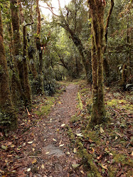 Refugio Cajanuma Parque Nacional Podocarpus