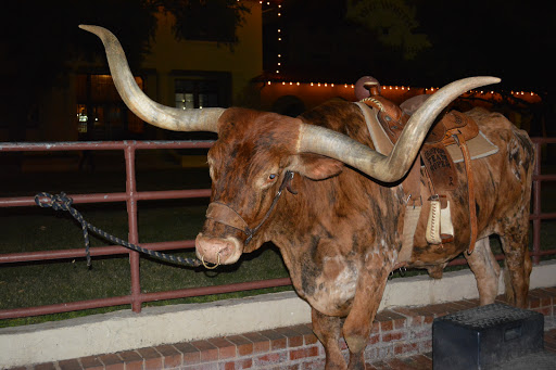 Tourist Attraction «Stockyards Championship Rodeo», reviews and photos, 121 E Exchange Ave, Fort Worth, TX 76164, USA