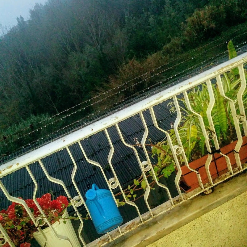 5 image