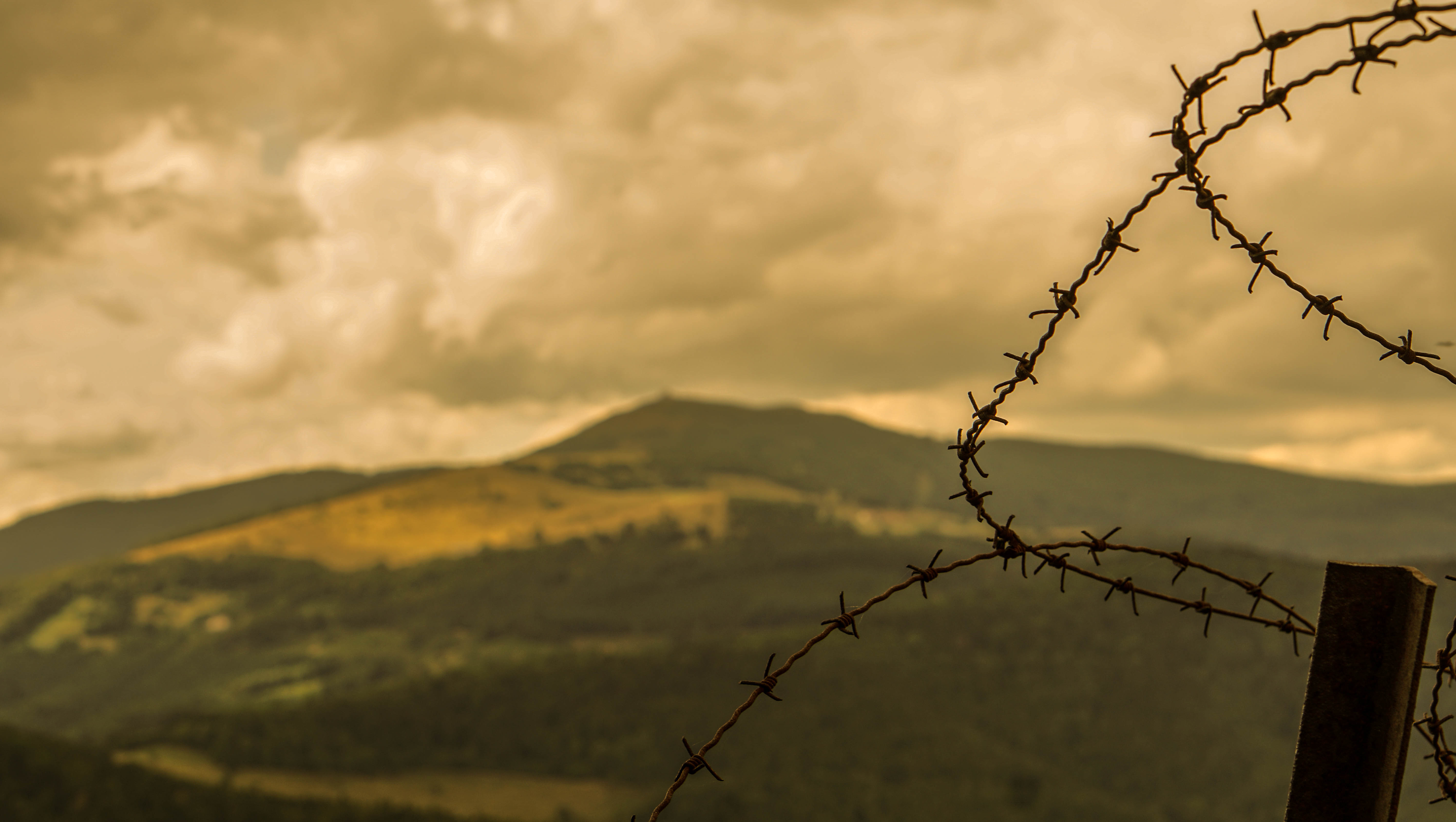 Photo n° 2 de l'avis de Brendan.V fait le 23/06/2023 à 10:54