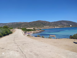 Foto von Cala dell'Ossario mit sehr sauber Sauberkeitsgrad