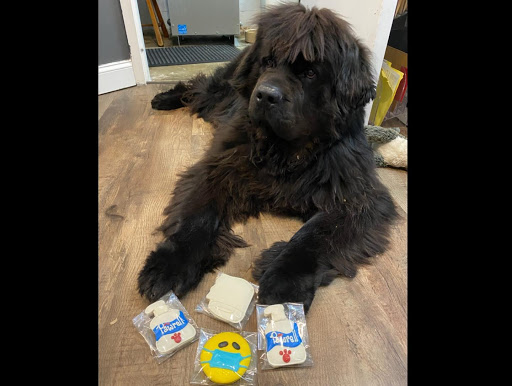 Pet Supply Store «Pet Barn Inc», reviews and photos, 167 Jennifer Rd # G, Annapolis, MD 21401, USA