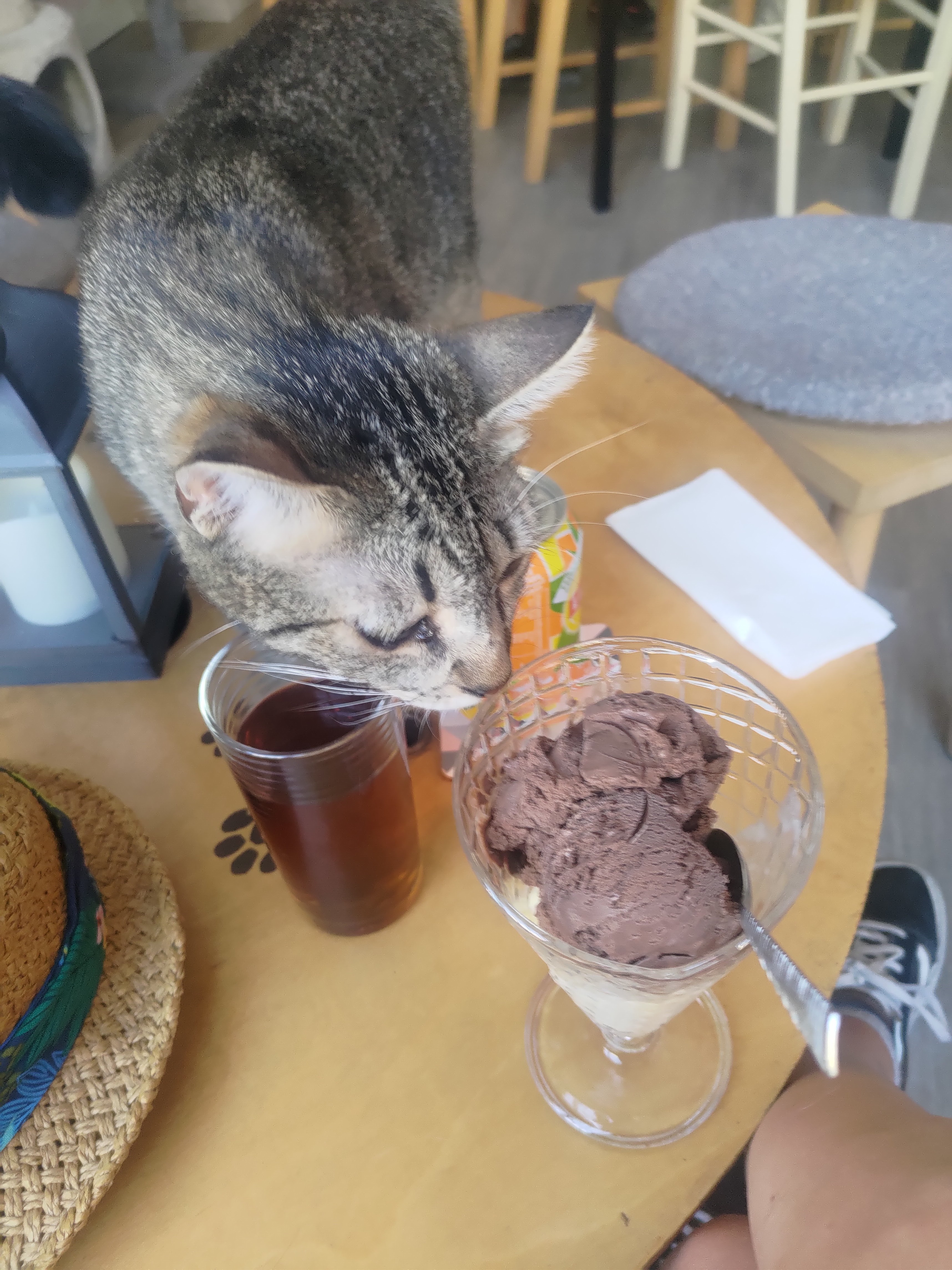 Photo n° 2 de l'avis de Emma.o fait le 31/07/2022 à 18:41