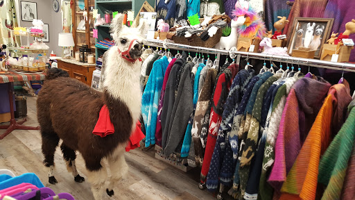 Farm «Dakota Ridge Farm», reviews and photos, 189 E High St, Ballston Spa, NY 12020, USA