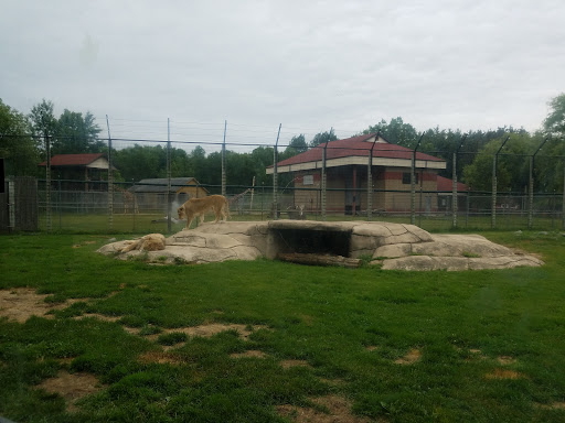 Zoo «NEW Zoo & Adventure Park», reviews and photos, 4378 Reforestation Rd, Green Bay, WI 54313, USA