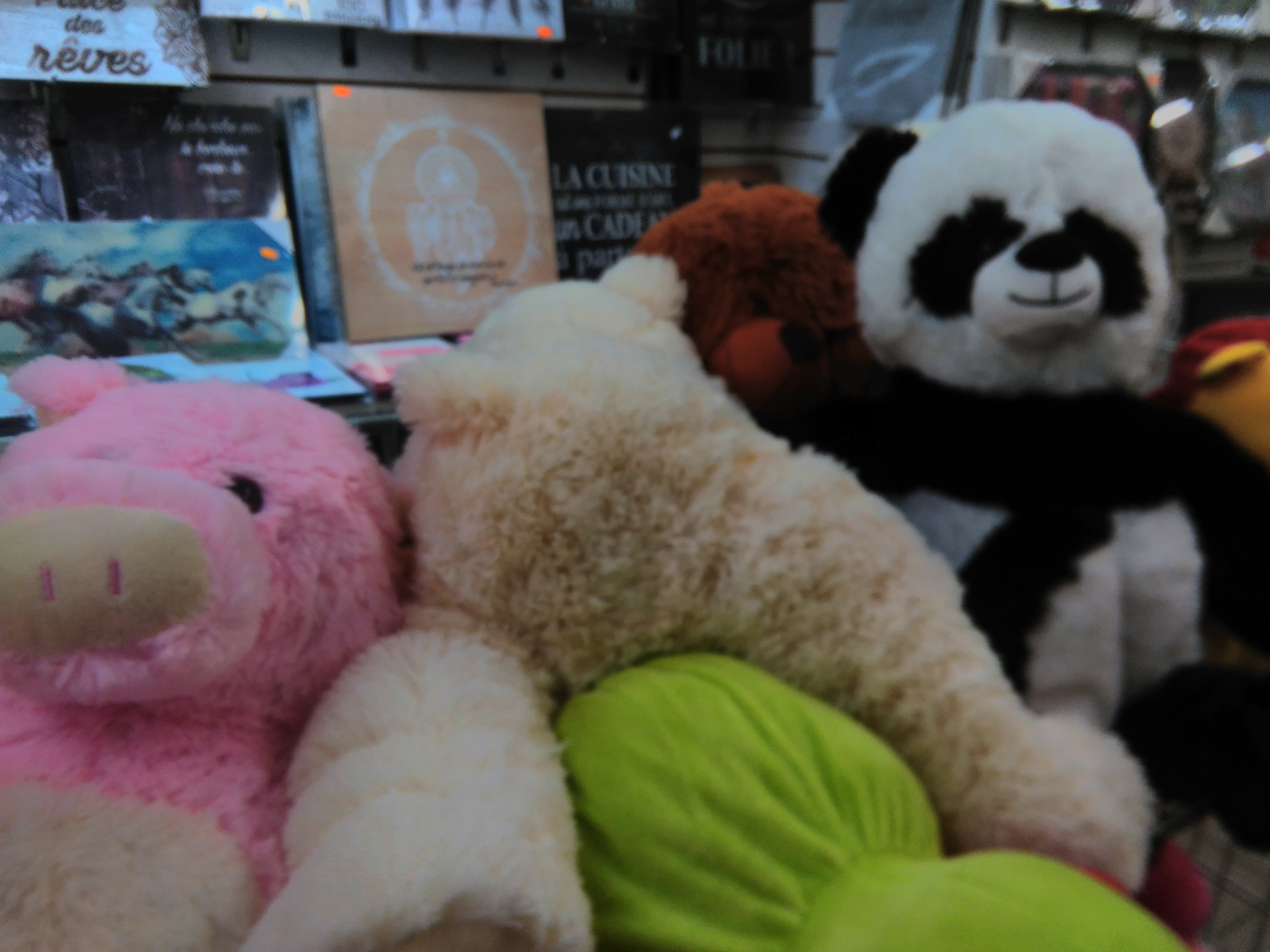 Photo n° 2 de l'avis de Camille. fait le 21/03/2018 à 14:45