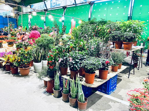 Jian Guo Weekend Flower Market
