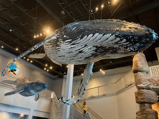 Aquarium «Loveland Living Planet Aquarium», reviews and photos, 12033 Lone Peak Pkwy, Draper, UT 84020, USA