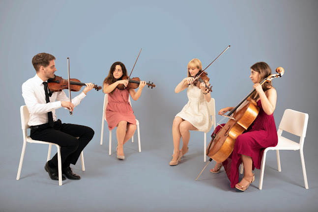 Comments and reviews of Arta String Quartet (West Coast)