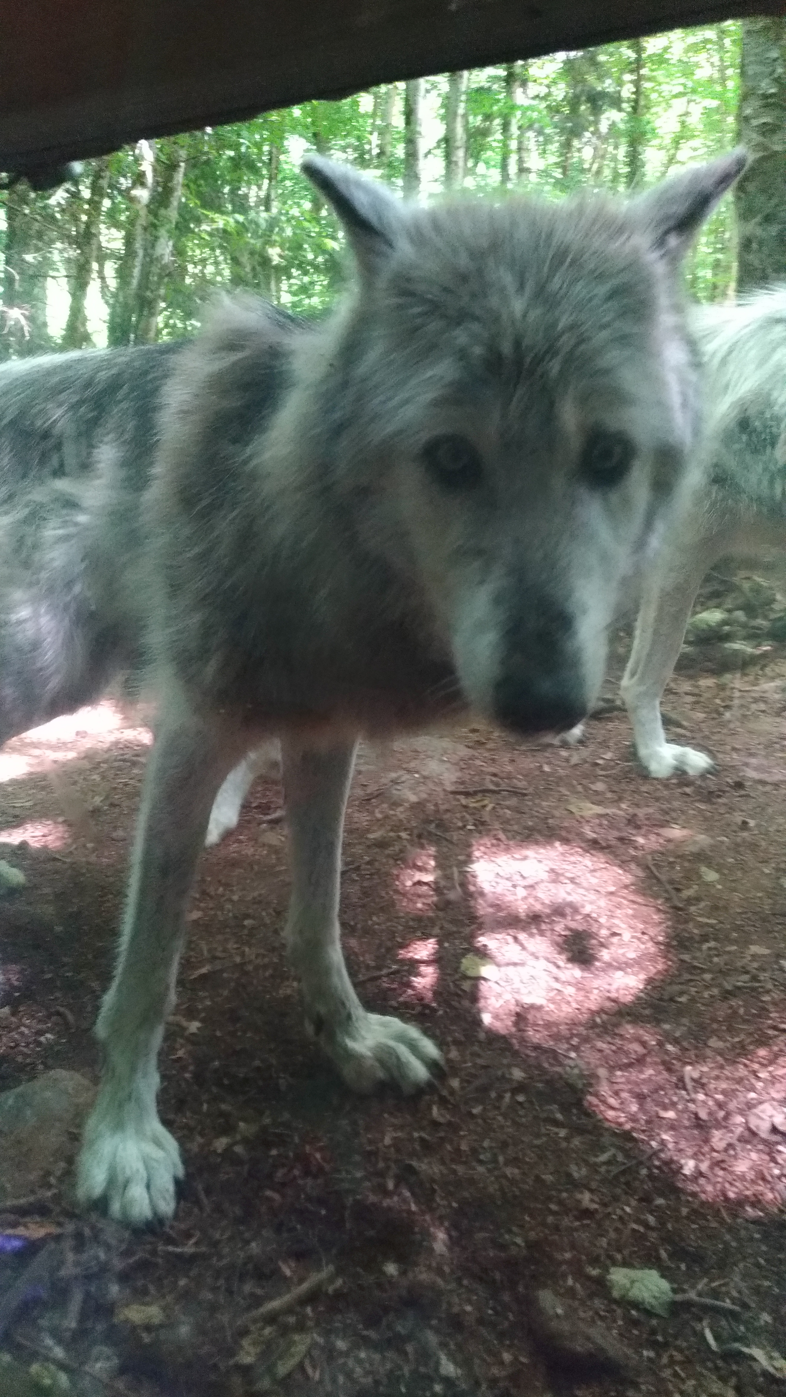 Photo n° 6 de l'avis de Virginie.H fait le 30/07/2019 à 23:50