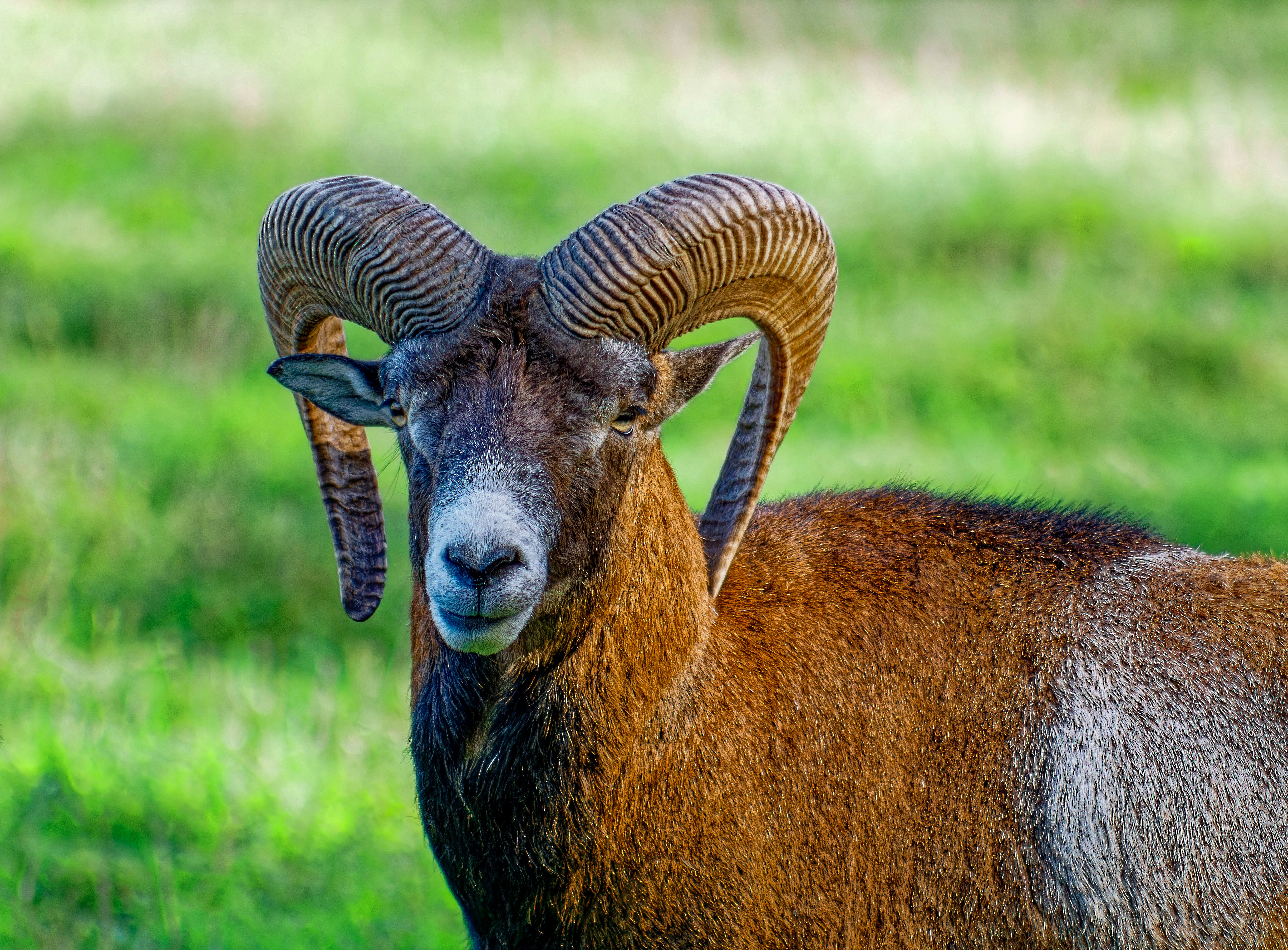 Photo n° 1 de l'avis de Eloise. fait le 23/10/2023 à 07:47
